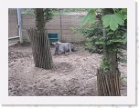 Dierentuin Burgers  Zoo 075 * 3648 x 2736 * (6.66MB)